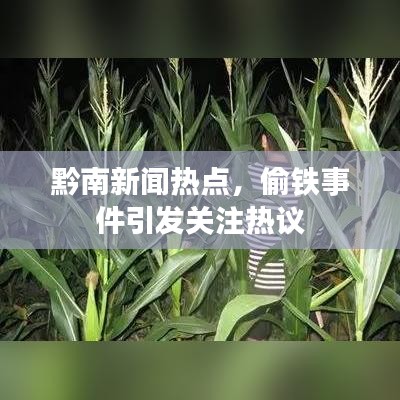 黔南新闻热点，偷铁事件引发关注热议