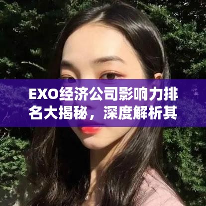 EXO经济公司影响力排名大揭秘，深度解析其行业地位与影响力