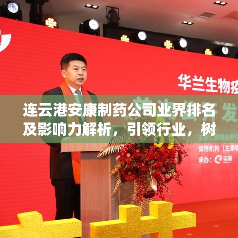 连云港安康制药公司业界排名及影响力解析，引领行业，树立标杆！