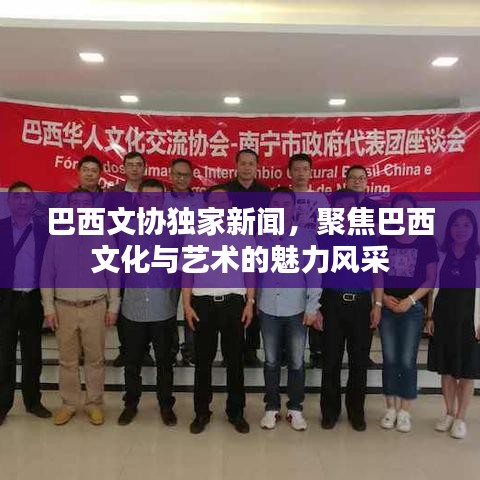 巴西文协独家新闻，聚焦巴西文化与艺术的魅力风采
