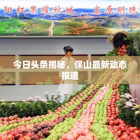 今日头条揭秘，保山最新动态报道