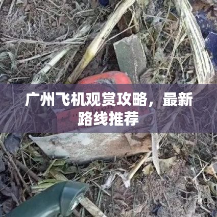 广州飞机观赏攻略，最新路线推荐