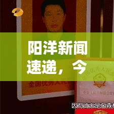 阳洋新闻速递，今日最新消息爆料