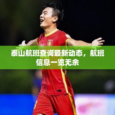 泰山航班查询最新动态，航班信息一览无余