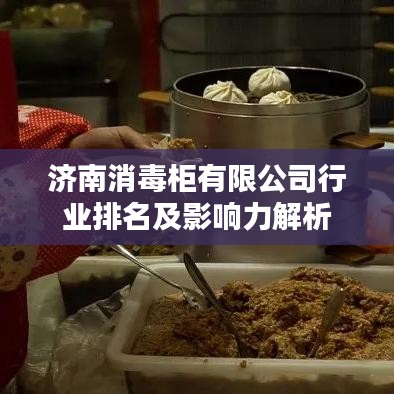 济南消毒柜有限公司行业排名及影响力解析