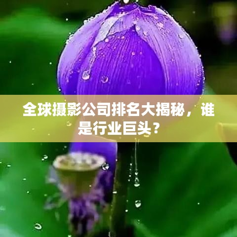 全球摄影公司排名大揭秘，谁是行业巨头？