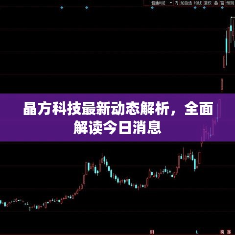 晶方科技最新动态解析，全面解读今日消息