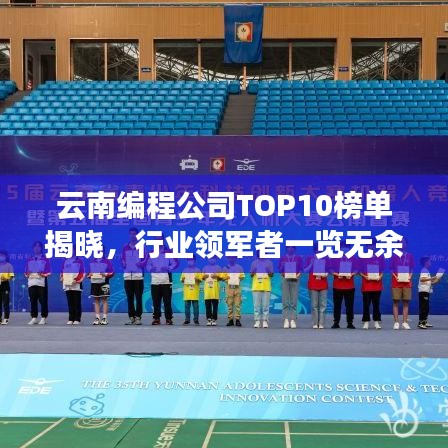 云南编程公司TOP10榜单揭晓，行业领军者一览无余