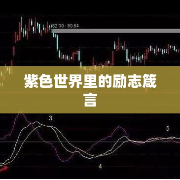 紫色世界里的励志箴言