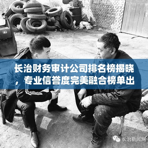 长治财务审计公司排名榜揭晓，专业信誉度完美融合榜单出炉！