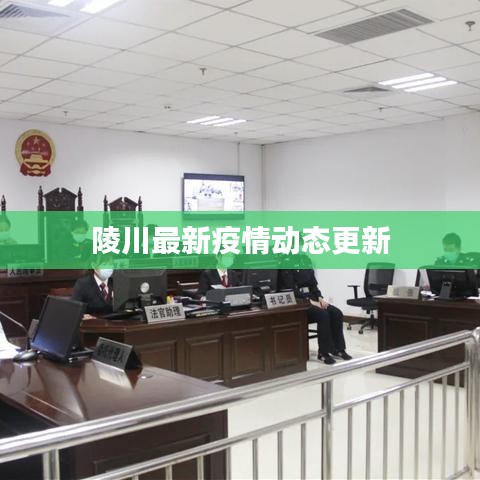 陵川最新疫情动态更新