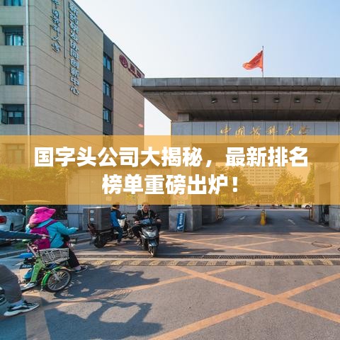 国字头公司大揭秘，最新排名榜单重磅出炉！