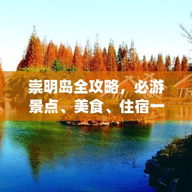 崇明岛全攻略，必游景点、美食、住宿一网打尽！