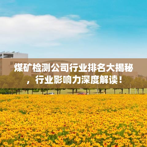 煤矿检测公司行业排名大揭秘，行业影响力深度解读！