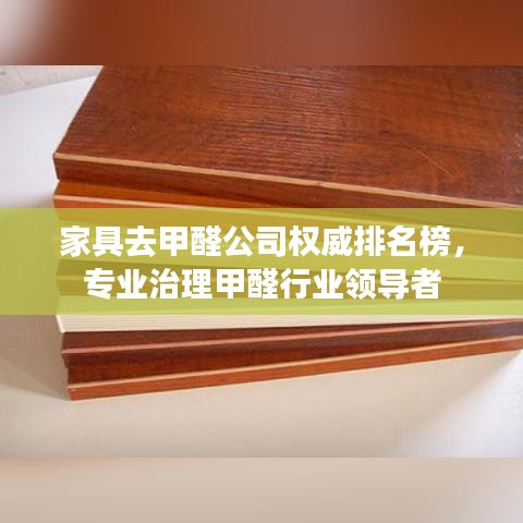 家具去甲醛公司权威排名榜，专业治理甲醛行业领导者