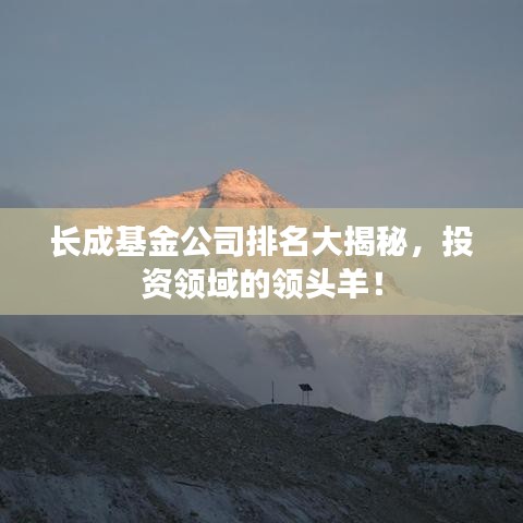 长成基金公司排名大揭秘，投资领域的领头羊！