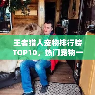 王者猎人宠物排行榜TOP10，热门宠物一览