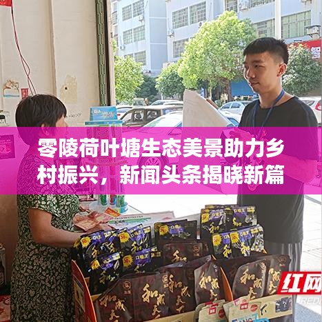 零陵荷叶塘生态美景助力乡村振兴，新闻头条揭晓新篇章