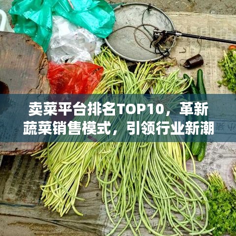 卖菜平台排名TOP10，革新蔬菜销售模式，引领行业新潮流