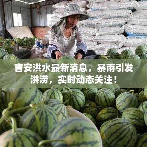 吉安洪水最新消息，暴雨引发洪涝，实时动态关注！