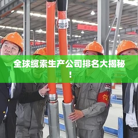 全球缆索生产公司排名大揭秘！