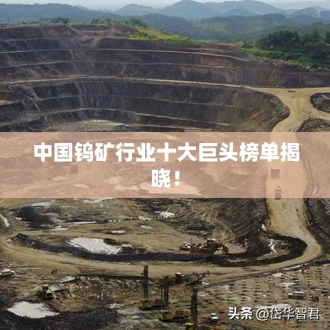 中国钨矿行业十大巨头榜单揭晓！