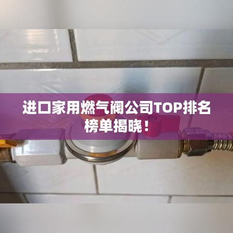 进口家用燃气阀公司TOP排名榜单揭晓！
