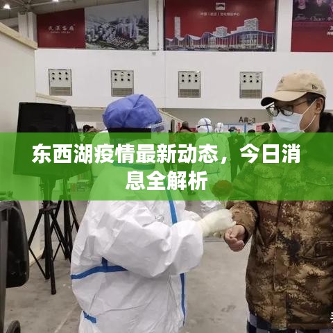 东西湖疫情最新动态，今日消息全解析