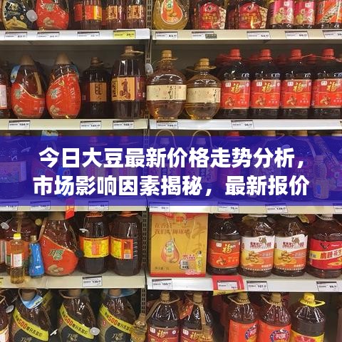 今日大豆最新价格走势分析，市场影响因素揭秘，最新报价揭示！