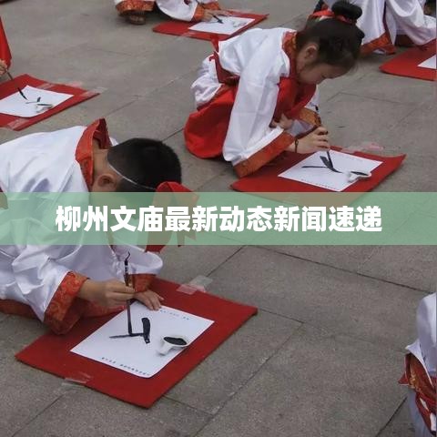 柳州文庙最新动态新闻速递