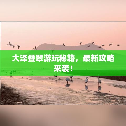 大泽叠翠游玩秘籍，最新攻略来袭！