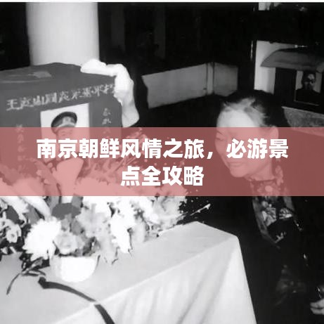 南京朝鲜风情之旅，必游景点全攻略