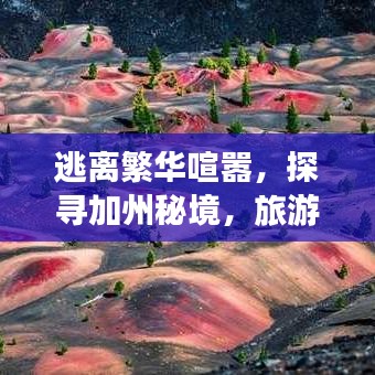 逃离繁华喧嚣，探寻加州秘境，旅游攻略与住宿指南
