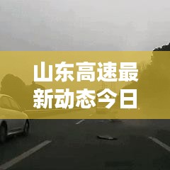 山东高速最新动态今日发布