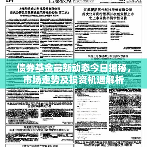 债券基金最新动态今日揭秘，市场走势及投资机遇解析