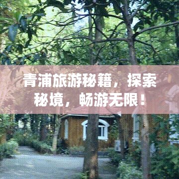 青浦旅游秘籍，探索秘境，畅游无限！