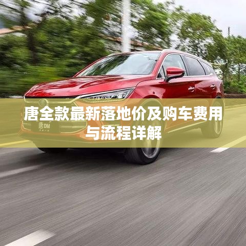 唐全款最新落地价及购车费用与流程详解