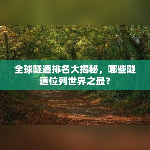 全球隧道排名大揭秘，哪些隧道位列世界之最？