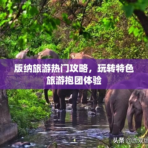 版纳旅游热门攻略，玩转特色旅游抱团体验