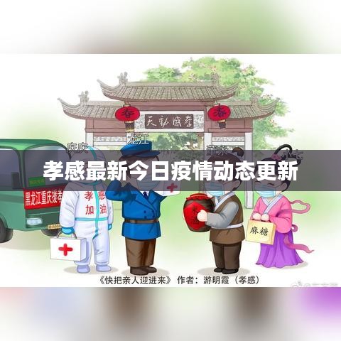 孝感最新今日疫情动态更新