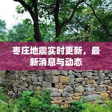 枣庄地震实时更新，最新消息与动态