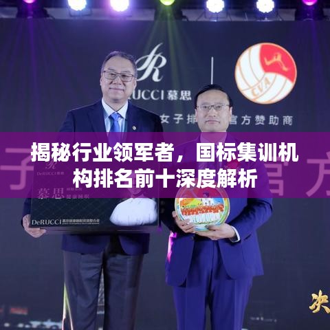 揭秘行业领军者，国标集训机构排名前十深度解析