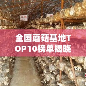 全国蘑菇基地TOP10榜单揭晓，探秘前十名基地的奥秘！