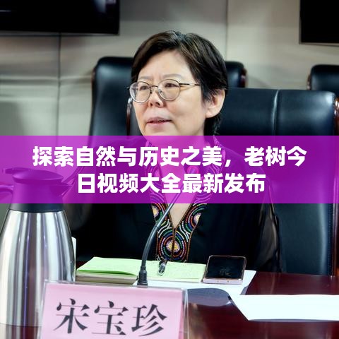 探索自然与历史之美，老树今日视频大全最新发布