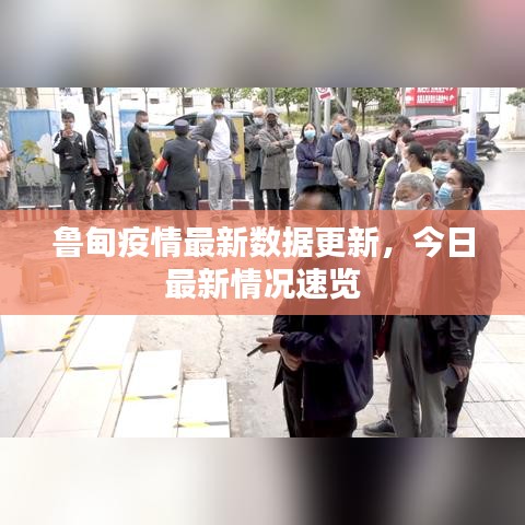 鲁甸疫情最新数据更新，今日最新情况速览