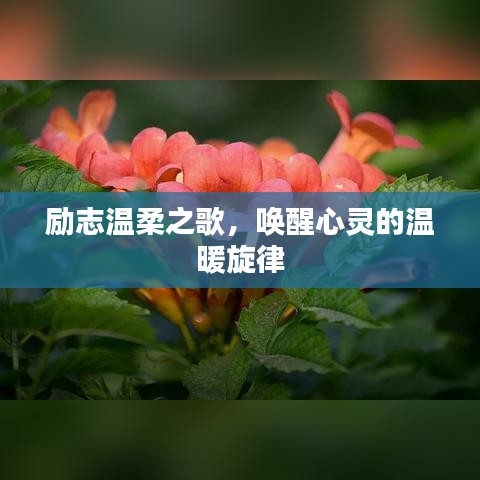 励志温柔之歌，唤醒心灵的温暖旋律