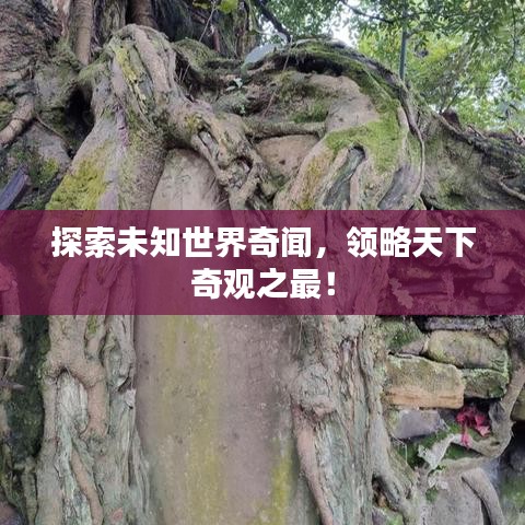 探索未知世界奇闻，领略天下奇观之最！