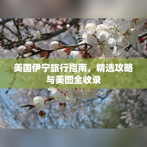 美国伊宁旅行指南，精选攻略与美图全收录