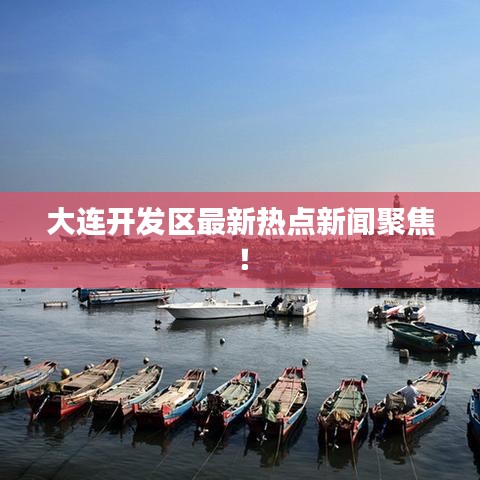 大连开发区最新热点新闻聚焦！
