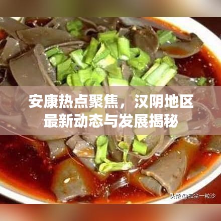 安康热点聚焦，汉阴地区最新动态与发展揭秘